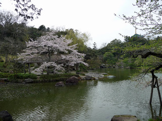 成田山公園