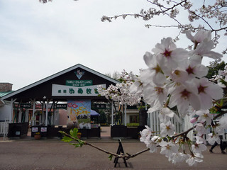ゆめ牧場その1