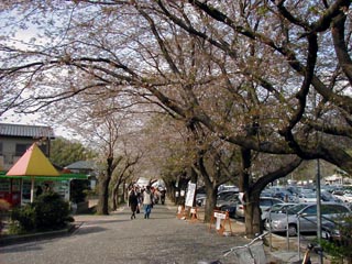 こどもの国駅前その1