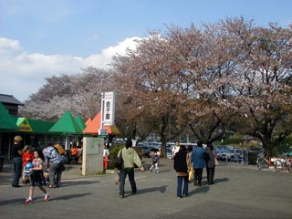 こどもの国駅前その2