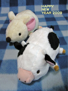 2009携帯向け