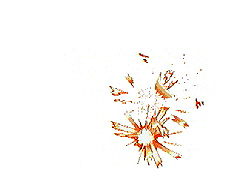 TEN-3