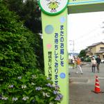 CGzEoY9UkAAhCV-