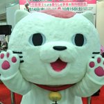 Cutg-3LUAAACMVN