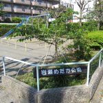C-l7m8-UQAAwipQ