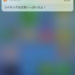 DJh8iWbVwAAQT6P
