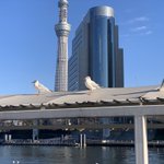 EM9Ti6dU0AYR_HK