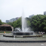 394995481