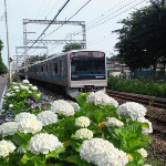 600245746