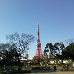 711661269